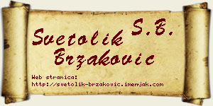 Svetolik Brzaković vizit kartica